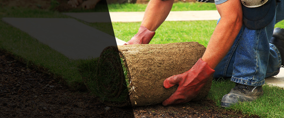 Pascoag Landscapers